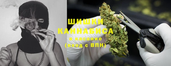 spice Алзамай