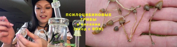 spice Алзамай