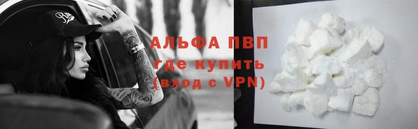 spice Алзамай