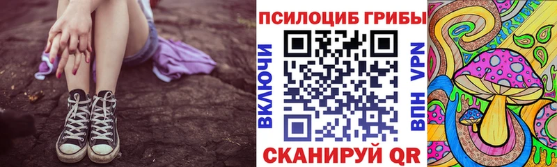 Галлюциногенные грибы Cubensis  hydra маркетплейс  Новороссийск 